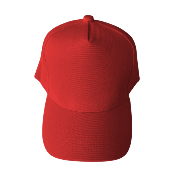 Gorra Frente Plano - Image 2